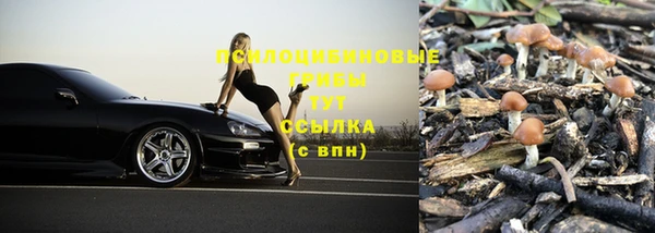 не бодяженный Чегем