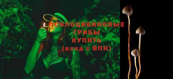 МДПВ Чекалин