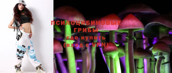 МДПВ Чекалин