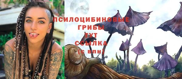 МДПВ Чекалин